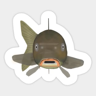 Common Carp Fish Head Sticker